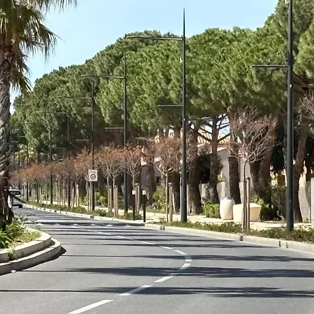 Apartment T2 50m Barcares Port Rdc Le Barcares